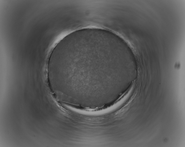X0000096981367200802151321