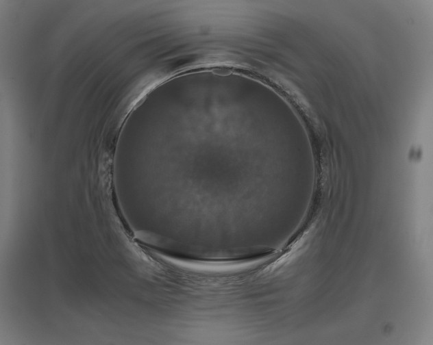 X0000096981369200802151321