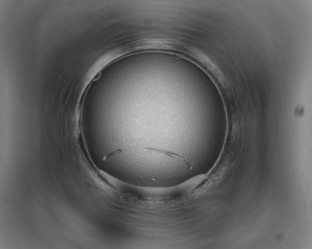 X0000096981370200802151321