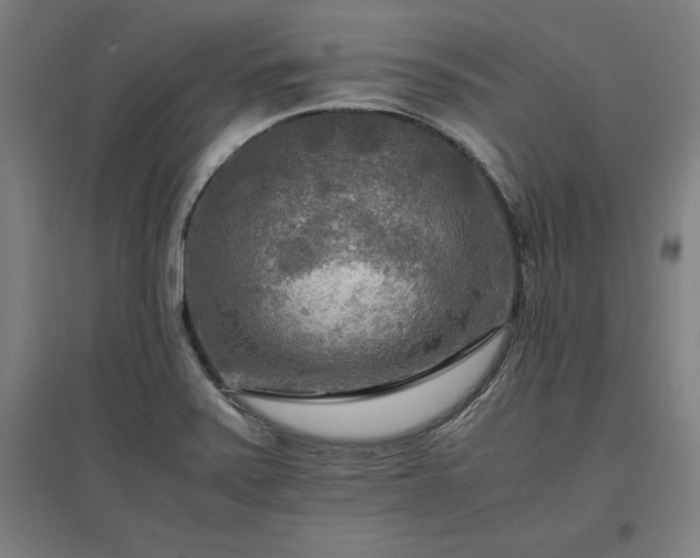 X0000096981371200802151321