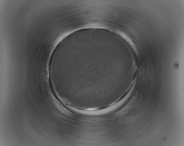 X0000096981372200802151321
