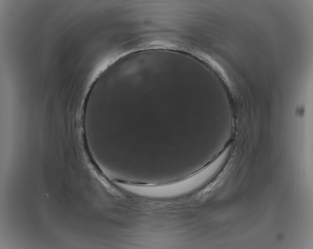 X0000096981373200802151321