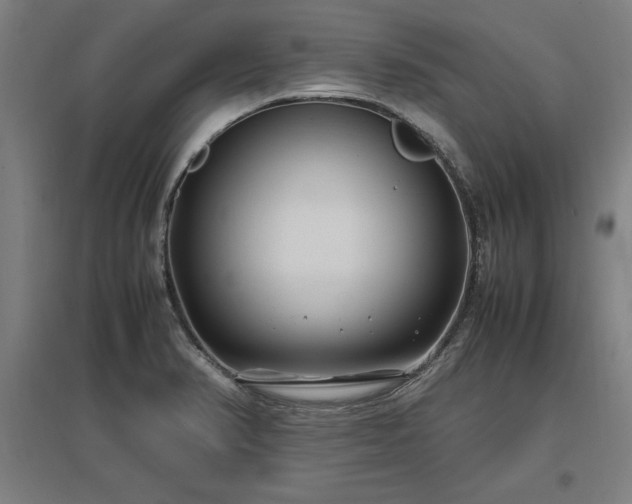 X0000096981374200802151321