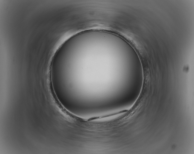 X0000096981375200802151321