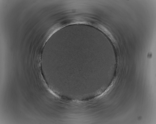 X0000096981377200802151321