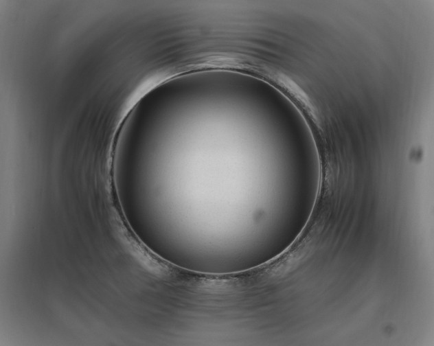 X0000096981378200802151321