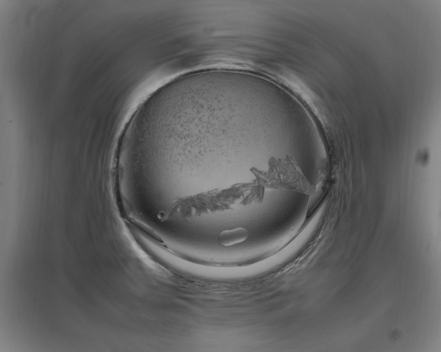 X0000096981379200802151321