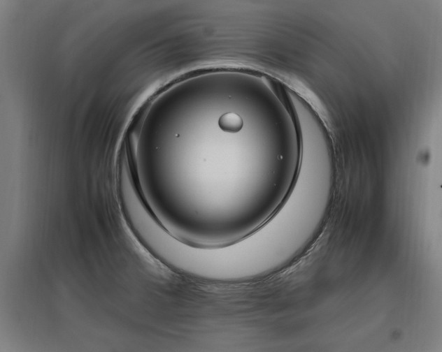 X0000096981380200802151321