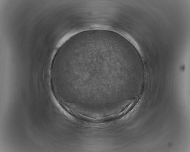 X0000096981381200802151321