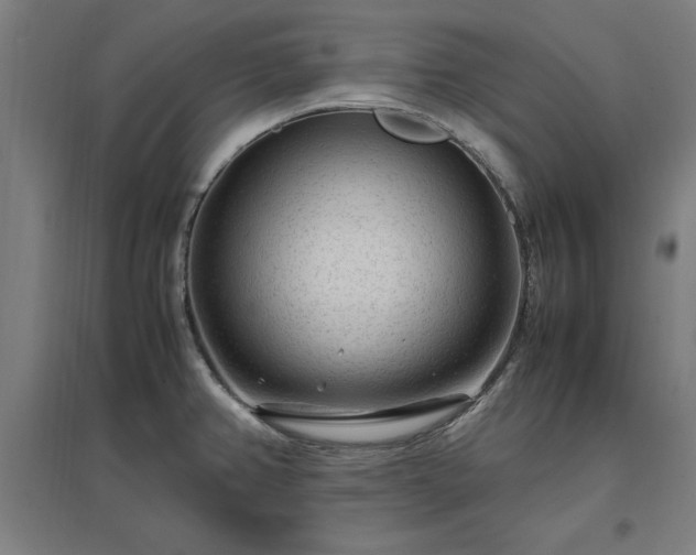 X0000096981382200802151321