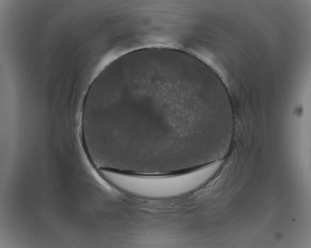 X0000096981383200802151321