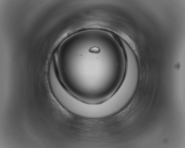 X0000096981384200802151321