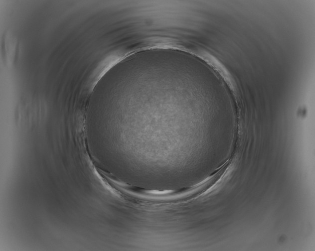 X0000096981385200802151320