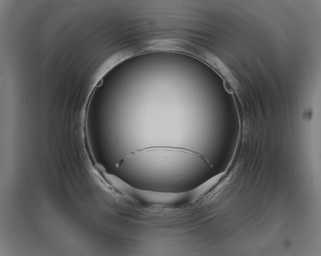 X0000096981386200802151320