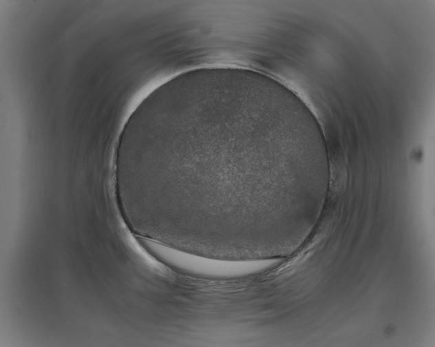 X0000096981387200802151320