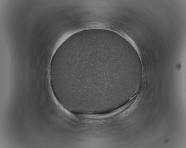 X0000096981389200802151320