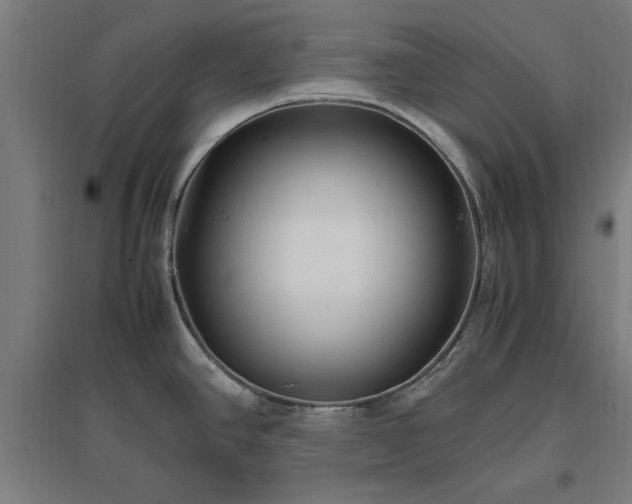 X0000096981390200802151320