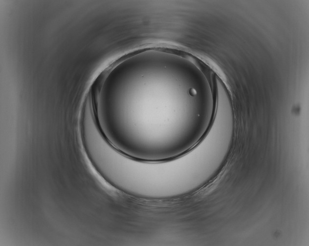X0000096981391200802151320