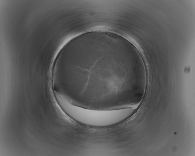 X0000096981392200802151320