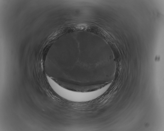 X0000096981394200802151320