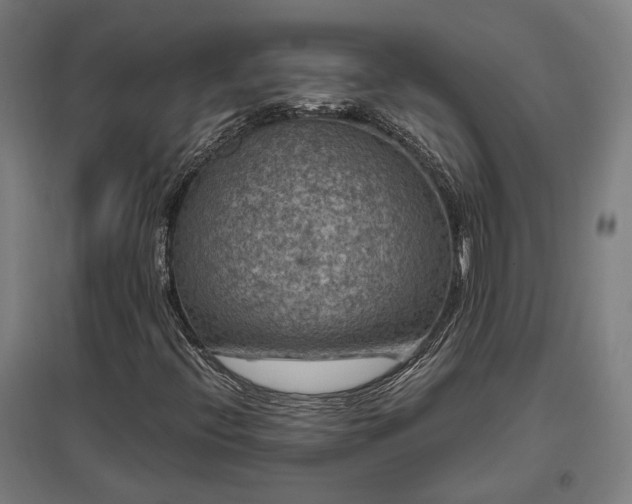 X0000096981396200802151320
