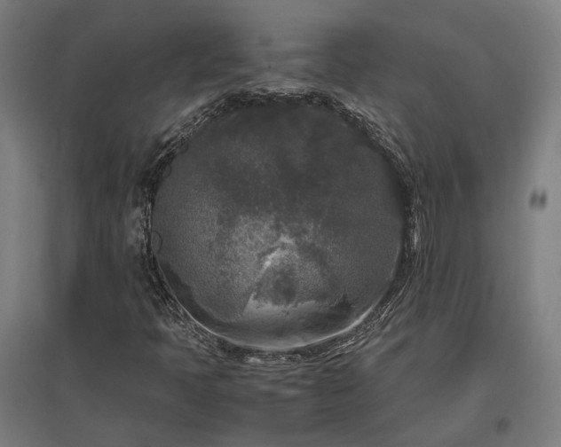 X0000096981397200802151320