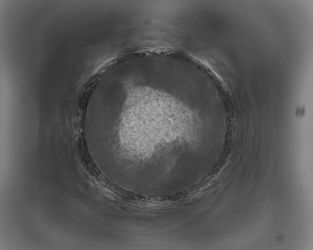 X0000096981399200802151320