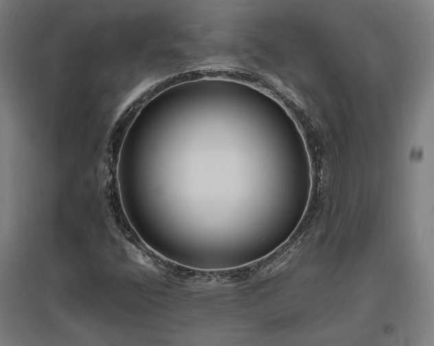 X0000096981400200802151320