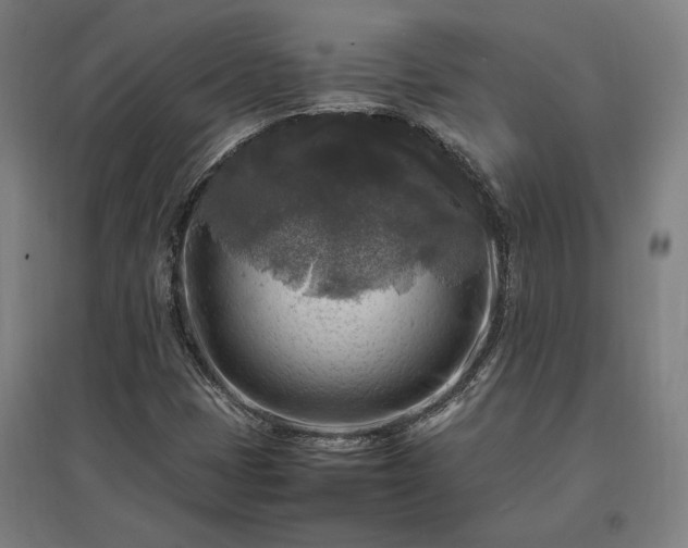 X0000096981401200802151320