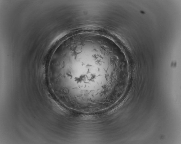 X0000096981402200802151320