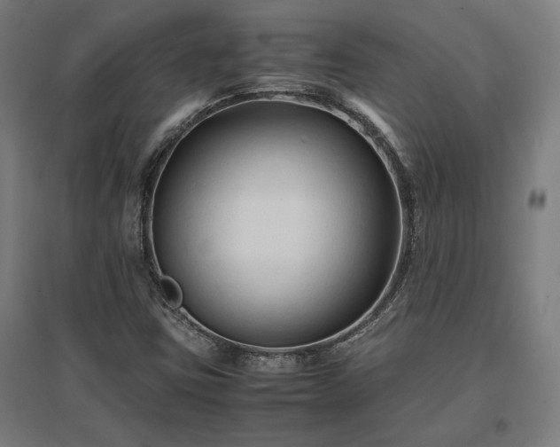 X0000096981403200802151320