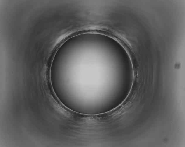 X0000096981404200802151320