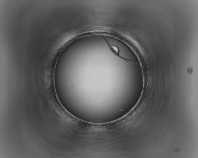 X0000096981407200802151320