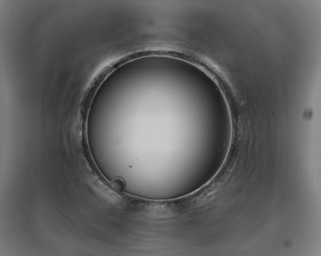 X0000096981408200802151320