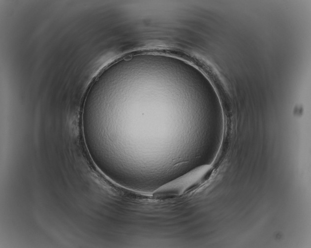 X0000096981409200802151320
