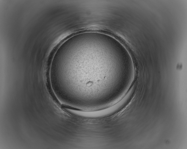 X0000096981410200802151320
