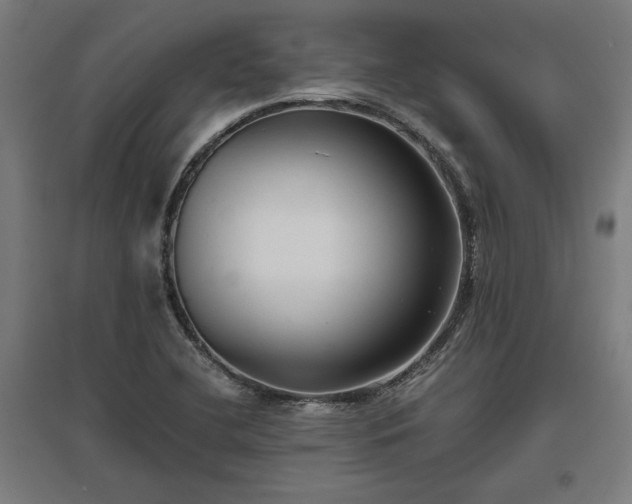 X0000096981412200802151320