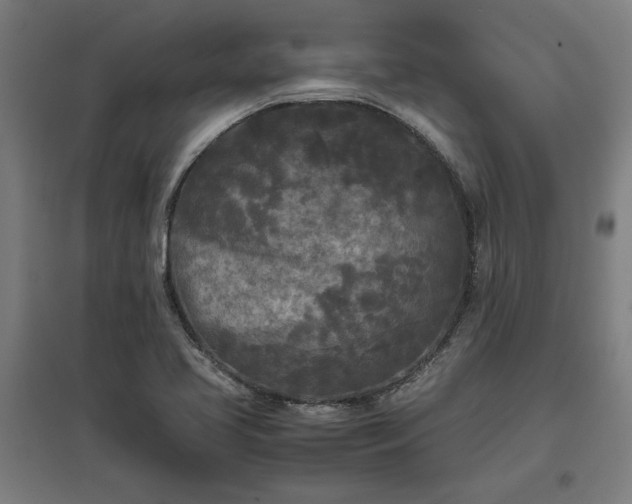X0000096981413200802151320