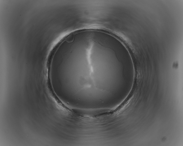 X0000096981414200802151320