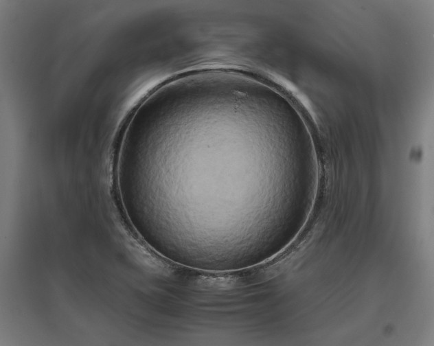 X0000096981415200802151320
