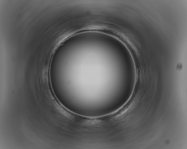 X0000096981417200802151320