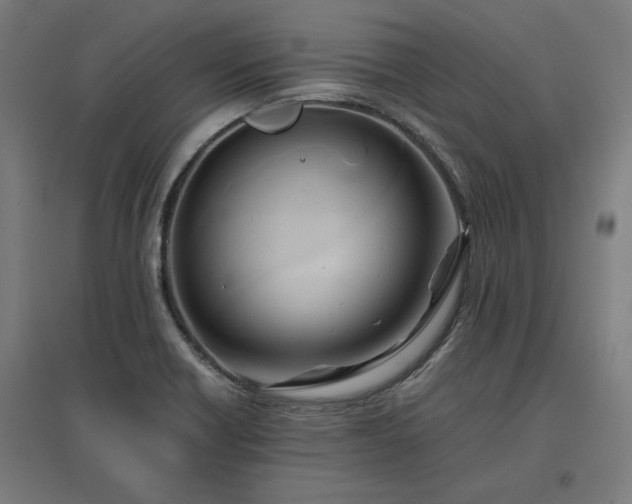 X0000096981418200802151320