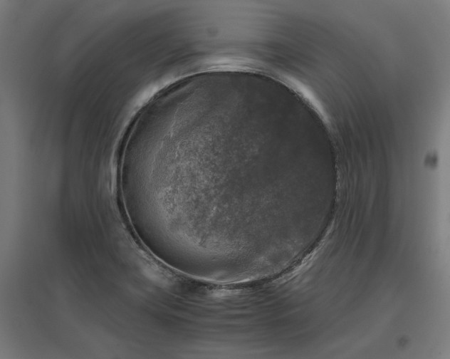 X0000096981419200802151320