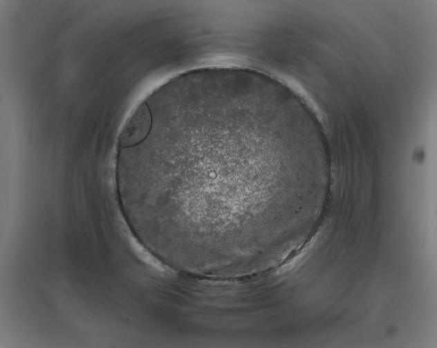 X0000096981421200802151320