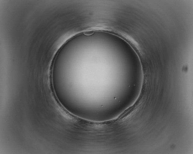 X0000096981423200802151320