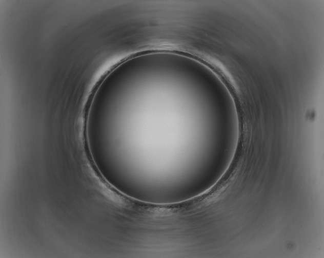 X0000096981424200802151320