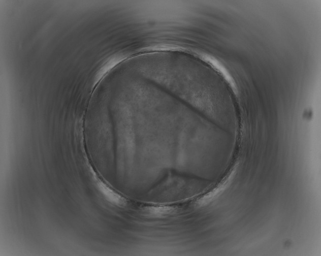 X0000096981425200802151320