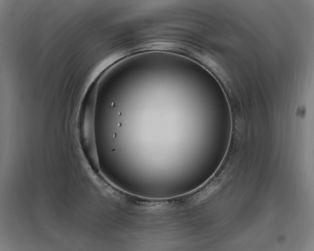 X0000096981426200802151320