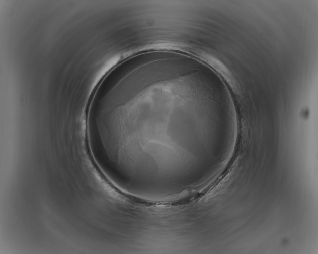 X0000096981428200802151320