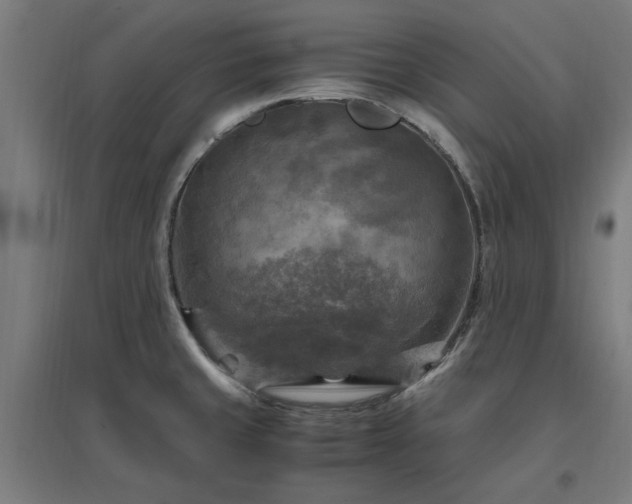 X0000096981429200802151320